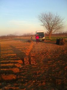 Photo0303