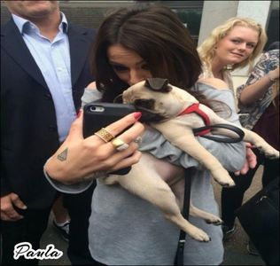 doar pozele cu cher si aparent unele cu snitel ce le mai am miram-as :) mi-am amintit -cl; ca ele jucau mai mult personaje din anime si nuj daca o fi ok pentru unii.. mai vorbeam uneori cu alexa dar are bacul ???
