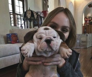 Tu nu te uiti la edit ul tau zici ca s foile pe care le ardeam la 10 ani cand ma credeam dramatica t; Ba eu nu l am vz niciodata tot decat cand era la tv pe minimax sau ce drq era ala seara.. dar am vz asa cateva eps da mi se parea el ft frumos si i shippuiam:)
