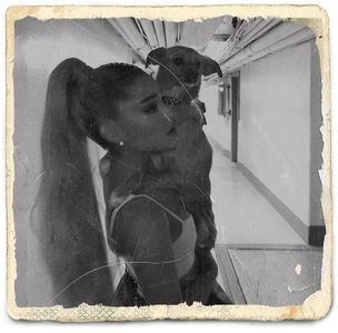 Eo voiam doar dust pe poză dar Photoscape ul n-a evoluat ca Sunphoto aparent.. ;) cl.; Nu mai vb cu dr... că ne șterg ăștia banda ;) #Bibi. NU MAI E FATO NU MAI EȘTI ÎN ROMÂNIA :)))))) LUCKY YOU... #Nucz.
