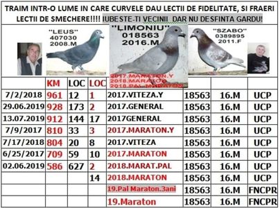 .2016 18563 LIM