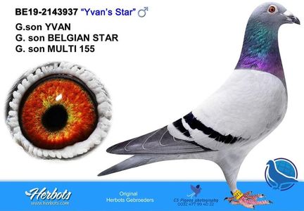 Yvan's Star