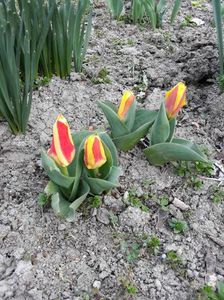 20200319_173955(0)
