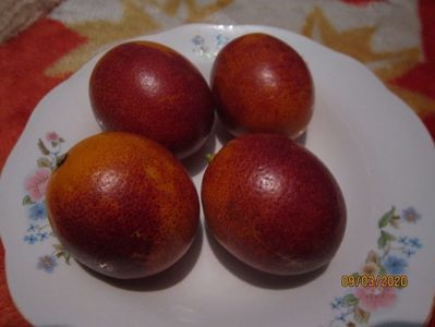Portocale rosii; Taroco roso
