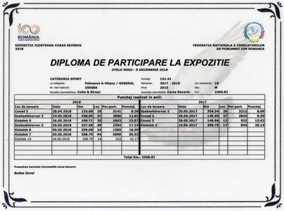 Albastru  359689-2015