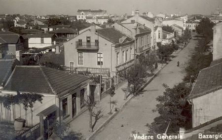 Bazargic, vedere generală (2)
