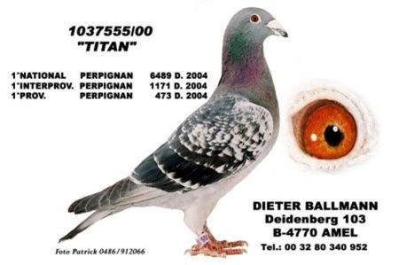 Ballmann Dieter 1037555-00 Titan