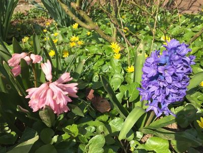 0113955D-5D1F-4EC0-9957-8E1EB3725DD9