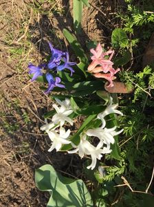 02ECC2FF-7821-496F-B48C-F5F791261DC5