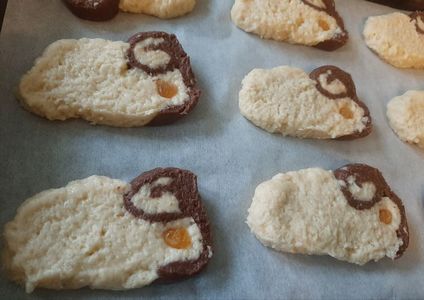 Biscuiți zodiacali cu vanilie si cacao  - 3