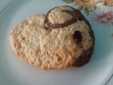 Biscuiți zodiacali cu vanilie si cacao  - 4