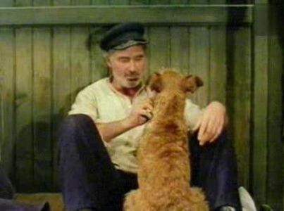 Mihail Caine De Circ
