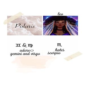 『 Pᴏʟᴀʀɪs 』　　　┊adore gemini&virgo and hates scorpio ┊