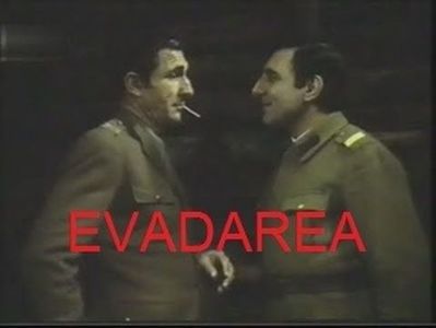 Evadarea
