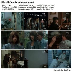 Liliacul Infloreste A Doua Oara