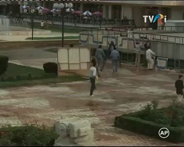 Liliacul Infloreste A Doua Oara