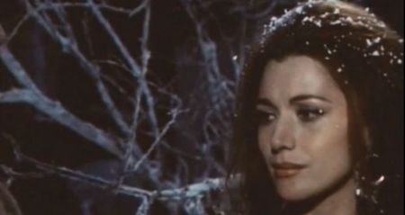 Casa De La Miezul Noptii