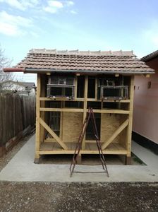 IMG-20200328-WA0011