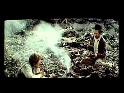 Prin Cenusa Imperiului