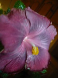 P1430466
