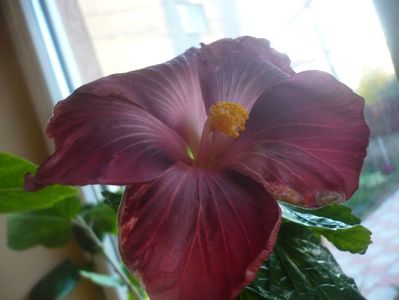 P1430469