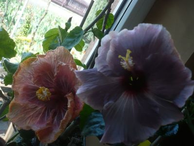 P1430501