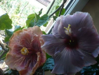 P1430504