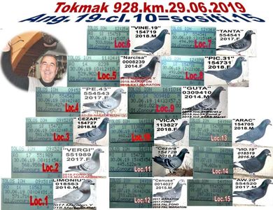 6-TOKMAK 2019