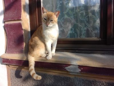 PORTOCALA; PORTOCALA
