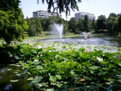 Parcul_Circului_de_Stat