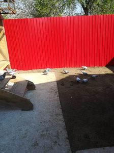 IMG-20200412-WA0009