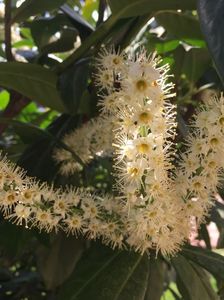 935DA87A-3F79-43A9-B89C-842B392EB624