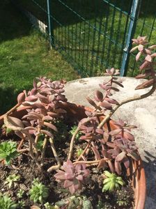 A0F7485C-90A5-4318-93B3-28AFE65AC763