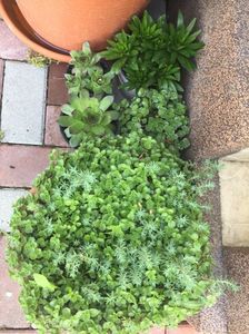 CCB655BA-8EFC-46C6-BC74-35AA0BE48BA3