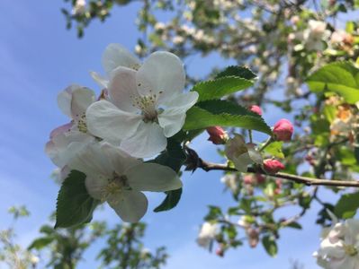 305219C6-3D3D-4D9F-980B-6C6540BAFEBA