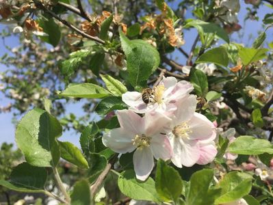 B0FEA02E-553E-4474-86ED-ACD14B894102