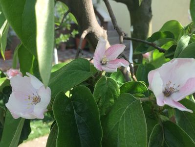 768F4F37-8D91-4FF4-99F4-D89ECA57F13E