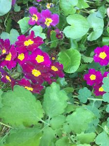 F6714524-D419-4D4D-B036-956321EC029F