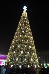 P1010467