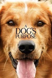 137.A Dog's Purpose