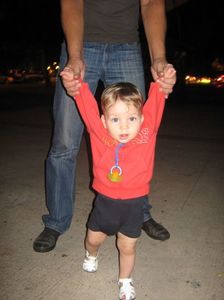 Picture 13229