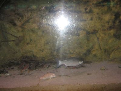 Picture 13402