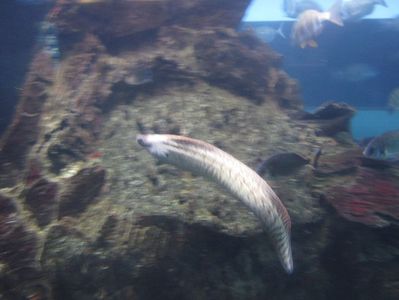 Picture 13417