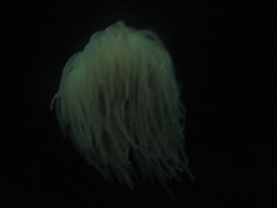 Picture 13422