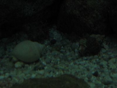 Picture 13423