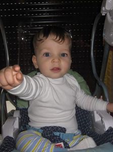 Picture 13681