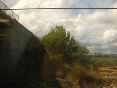 Picture 13722