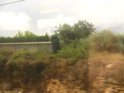 Picture 13723