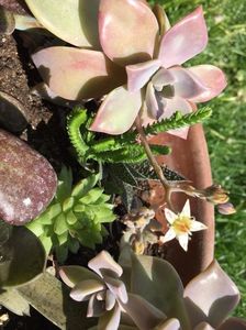 EA4A7882-8F84-4A10-96F0-F660B53F1B1D