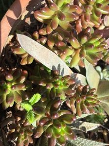 58215B9E-1280-495D-8562-3535D96788CA